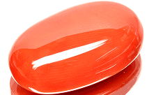 Moonga (Coral) gemstone